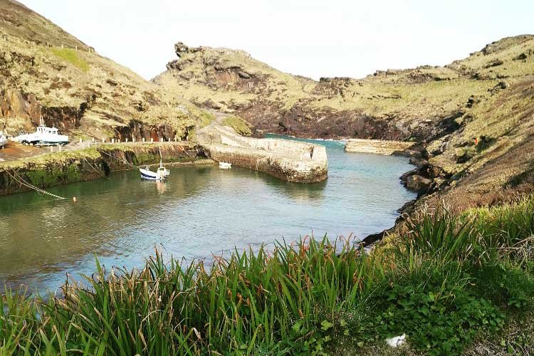 Campsite